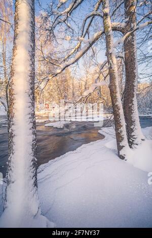 Scenic winter landscape with flowing river and morning light in Finland. Snowy trees. Stock Photo