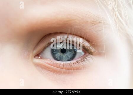 Closeup macro shot of the blue eye of a blond child looking into the camera