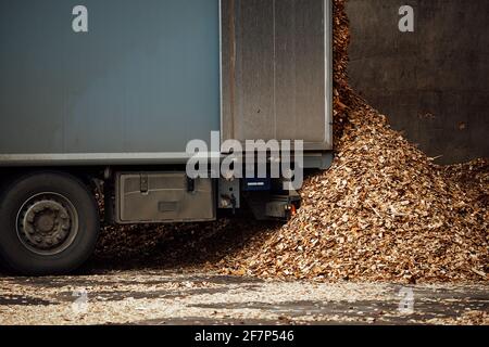 the truck unloads tons of wood waste. sawdust and shavings are stored for further processing. mountain of waste wood Stock Photo