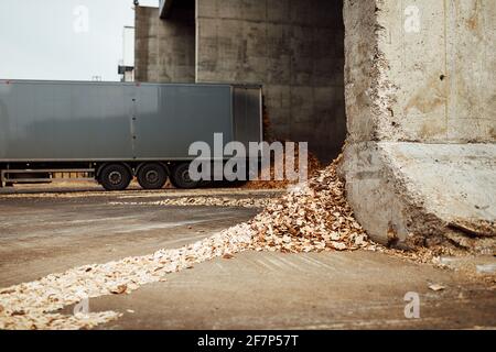 the truck unloads tons of wood waste. sawdust and shavings are stored for further processing. mountain of waste wood Stock Photo