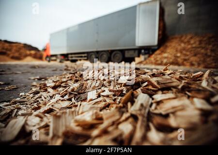 the truck unloads tons of wood waste. sawdust and shavings are stored for further processing. mountain of waste wood Stock Photo