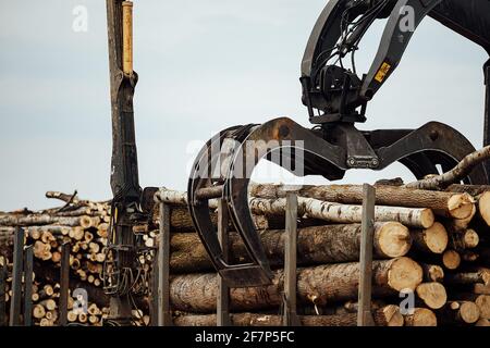 the front loader works in a wood processing plant. industrial excavator with mechanical gripper transports wood in the warehouse Stock Photo