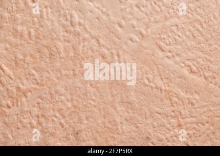 Bright beige rough plastered house wall frame as a background Stock Photo