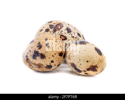 Quail eggs isolated on white background Stock Photo