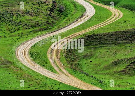 Winding dirt roads in a green field Stock Photo