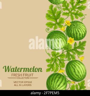 watermelon pattern on color background Stock Vector