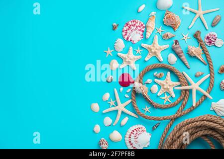 Different types of seashells and starfish on a blue background with a rope. Horizontal view, copy space. Stock Photo