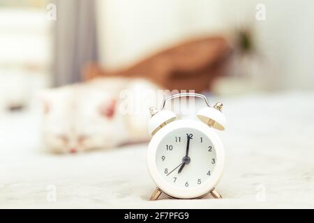 Retro alarm clock in the interior on a blurred background. Sleeping white kitten. Early morning. Stock Photo