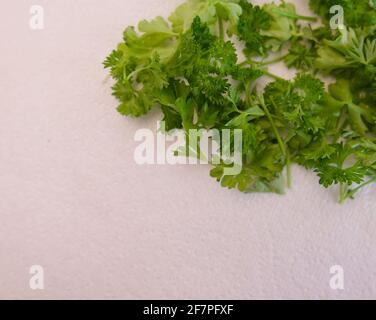 Chopped fresh green parsley against white textured background with copy space Stock Photo