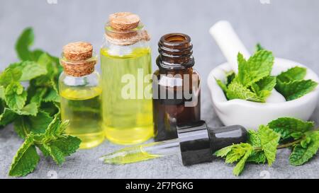 medicinal herbs. mint Selective focusnature Stock Photo