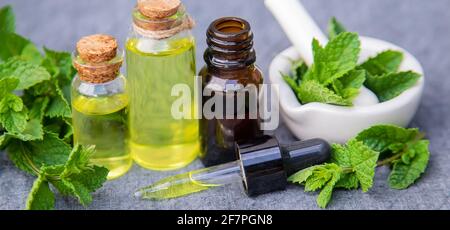 medicinal herbs. mint Selective focusnature Stock Photo