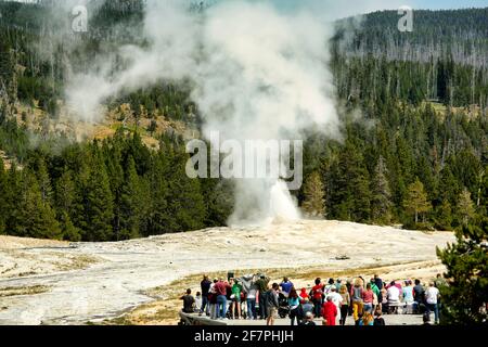Tourists looking at the Old Faithful Geyser. Yellowstone National Park. Wyoming. USA. Stock Photo
