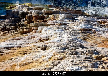 Minerva Terrace at the Mammoth Hot Springs. Yellowstone National Park. Wyoming. USA. Stock Photo