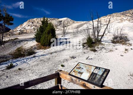 Mound and Jupiter Terraces at the Mammoth Hot Springs. Yellowstone National Park. Wyoming. USA. Stock Photo