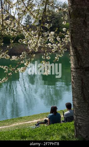 Young couple (unrecognizable, back view) sitting on Marne river bank in sunny spring day under blooming cherry tree with bikes beside them. Stock Photo