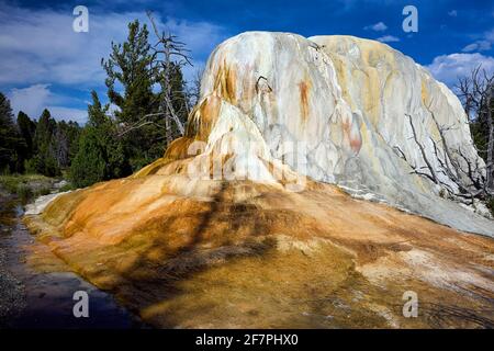 Orange Spring Mound at the Mammoth Hot Springs. Yellowstone National Park. Wyoming. USA. Stock Photo