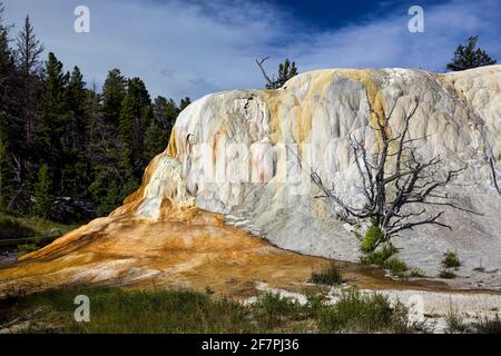Orange Spring Mound at the Mammoth Hot Springs. Yellowstone National Park. Wyoming. USA. Stock Photo