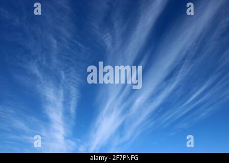 View looking up to dramatic faint feathery white clouds in a blue sky on a sunny spring day. Stock Photo