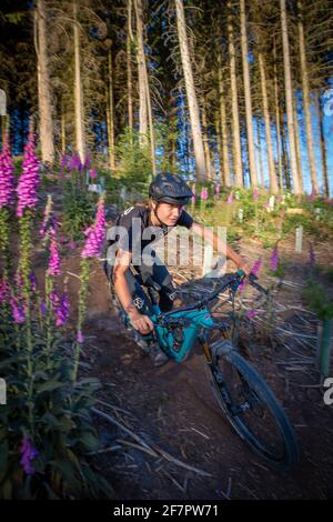 Girl Mountain biking in southern UK Stock Photo