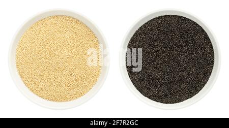 Amaranth grain in white bowls. Seeds of black and white Amaranthus, gluten free pseudocereals, a staple food and source of protein of the Aztecs. Stock Photo