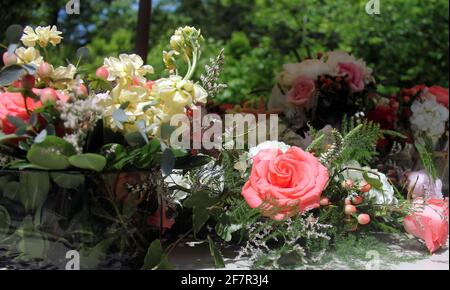Beautiful bouquets of seaside themed wedding flowers including roses, berries and starfish are seen in Cape May, New Jersey in June. Stock Photo