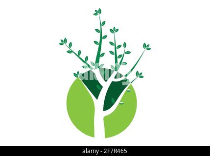 tree logo design vector illustration template Stock Vector