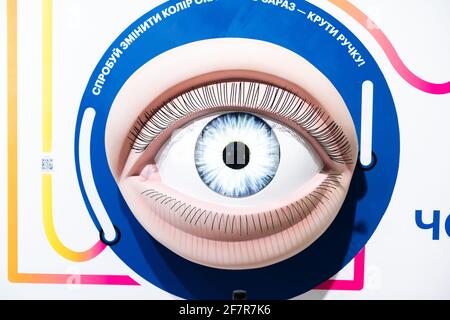 human eye isolated on white, model. Stock Photo