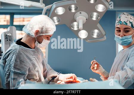 Doctors performing abdominoplasty surgery in the hospital. Focus on male plastic surgeon doing abdominal plastic surgery in operating room. Concept of Stock Photo