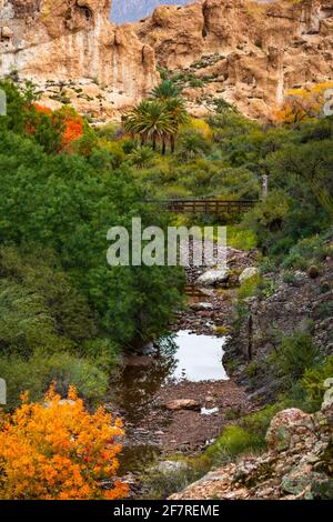 Fall colors brighten this magnificent canyon at Boyce Thompson Arboretum in Superior, Arizona. Stock Photo