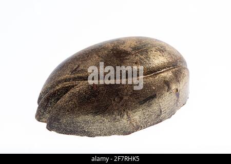 Egg shaped white chocolate figure painted in black and gold isolated on white Stock Photo