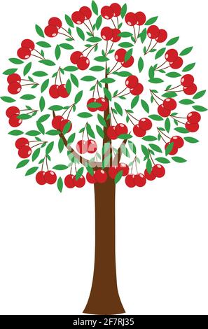 Cherry tree illustration isolated on white background Stock Vector