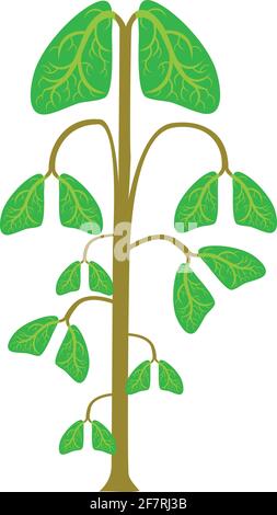 Lungs tree illustration vector isolated on white background Stock Vector