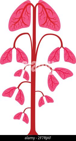 Tree of lungs pink illustration isolated on white background Stock Vector