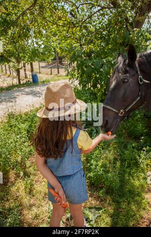 Young Girl in Straw Hat Feeding a Horse Carrots Stock Photo