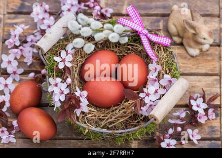 coloured eggs in basket and cherry blossom as easter decoration Stock Photo