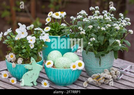 easter decoration with easter eggs and white spring flowers Stock Photo