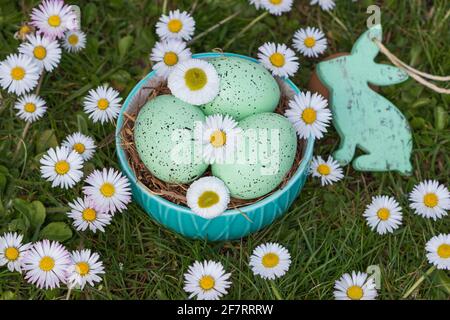 easter nest with easter egg and daisy flowers as easter decoration Stock Photo