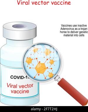 Covid-19 coronavirus. Viral vector vaccine. vaccine vial and magnifying glass with magnification of Adenoviruses that use to deliver genetic material