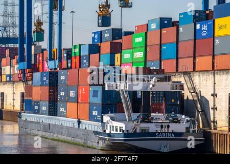 Container cargo ship in the harbour basin of the Logport, gantry cranes in the container handling centre, trimodal container terminal, in the Logport Stock Photo