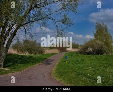 Spazierweg im Naherholungsgebiet von Leer - Ostfriesland Stock Photo