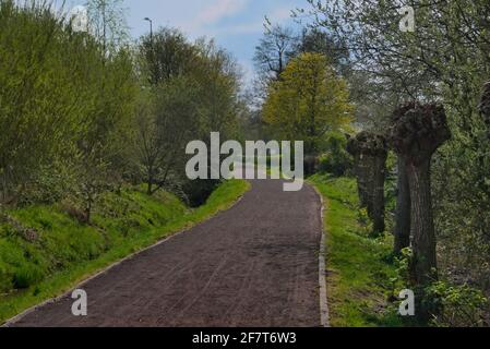 Spazierweg im Naherholungsgebiet von Leer - Ostfriesland Stock Photo