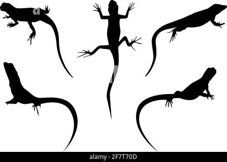 set of lizards black silhouette vector illustration isolated Stock Vector