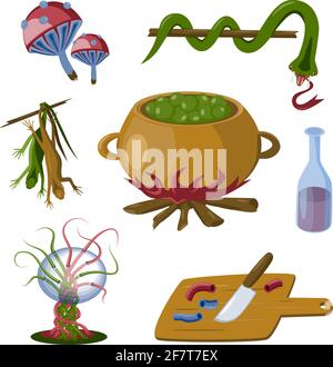 Magic witch set. Poison mushrooms, snake, lizards, cauldron, bottle, knife, sphere. Isolated vector objects on white background Vetor illustration Stock Vector