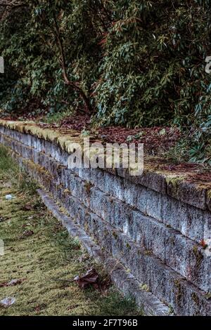 Moss covered wall in park Stock Photo