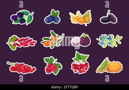 set fresh juicy berries tasty ripe fruits icons collection healthy food concept horizontal Stock Vector