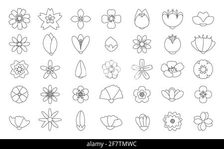 Black outline summer flowers icons set. Different shape pictograms thin line flower for spring season. Simple element, symbols for floral shop logo, sticker for gift, tag. Isolated vector illustration Stock Vector