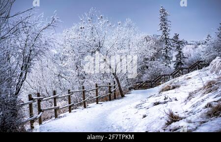Landscape of city park in winter with frozen trees Stock Photo