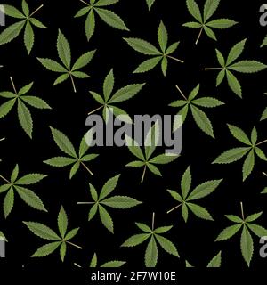 seamless pattern of green fresh cannabis sativa leaves (marijuana) on black background. Can be tiled Stock Photo