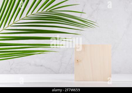 Wooden square podium with green palm leaf in sunlight on white wood table and marble wall. Fashion showcase for cosmetic products, goods, shoes, bags, Stock Photo