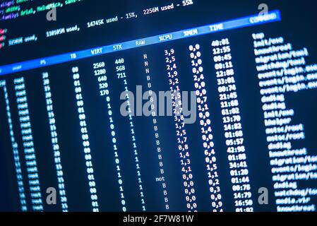 Programming and database on the internet Stock Photo